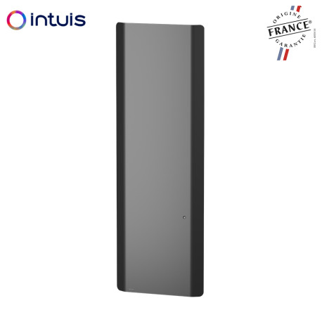 Radiateur Fonte NOIROT CALIDOO Nativ Vertical 2000W anthracite connecté INTUIS M152227