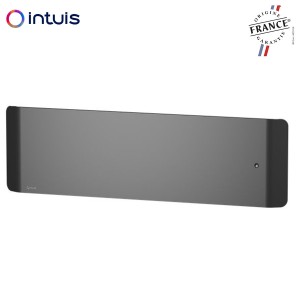 Radiateur Fonte NOIROT CALIDOO Nativ Plinthe 1000W anthracite connecté INTUIS M152423