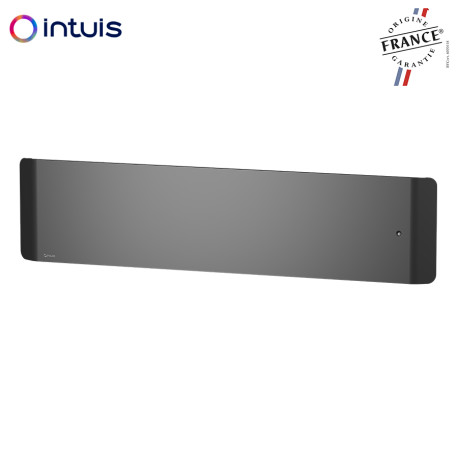 Radiateur Fonte NOIROT CALIDOO Nativ Plinthe 1500W anthracite connecté INTUIS M152425