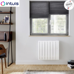 Radiateur inertie Intuis SLOOP connecté 750W M146112