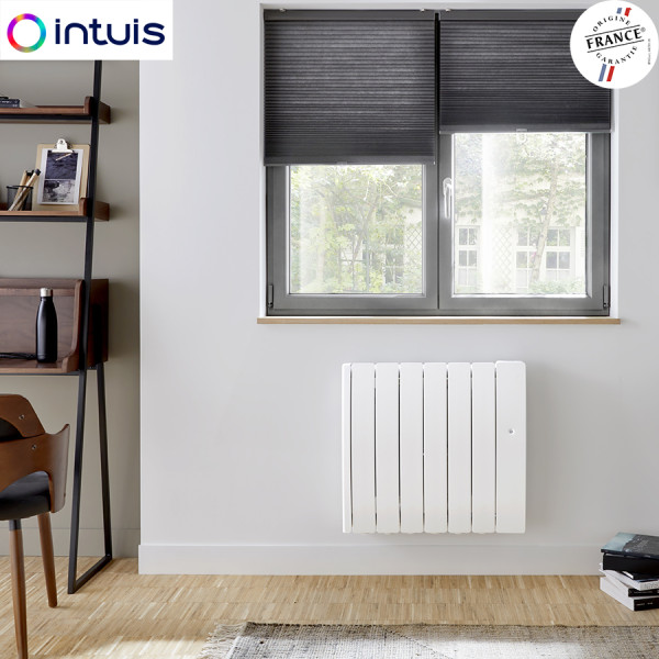 https://www.vitahabitat.fr/182960-thickbox_default/radiateur-inertie-noirot-sloop-1000w-connecte-intuis-m146113.jpg