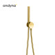 Ensemble Applique Prise D'Eau Douchette Flexible Piega Inox Or Brossé - CRISTINA ONDYNA PD61096I