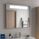 Miroir ALCOR 800 lumière led et antibuée 800 x 700 mm - SALGAR 97313