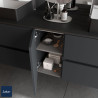 Coquette ALLIANCE 300 réversible 1 porte push anthracite mat 300x540x450mm - SALGAR 97023
