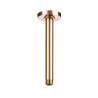Bras Plafond Pour Pomme De Douche 200Mm Rose Gold - ROCA A5B0550RG0 