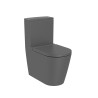 Cuvette au sol rimless round dual Inspira Onyx - ROCA A342526640