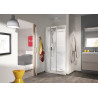 Cabine Kineprime 3 100X80 Niche 2P Haut Transparent Th - KINEDO CA6500TTN