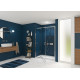 Smart Express Porte Pivotante 140X190 Cm Profile Chrome Verre Transparent - KINEDO PA1906CTNE