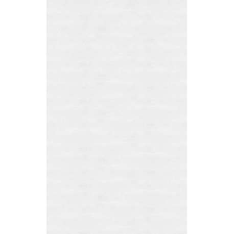 Panneau Mural Kinewal Design 3mm 1500X2020 Enduit blanc - KINEDO PM925 
