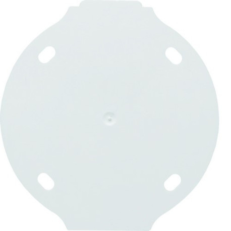 1930 Plaque de fond blanche - APPAREILLAGE MURAL 1930 HAGER WMV685B 