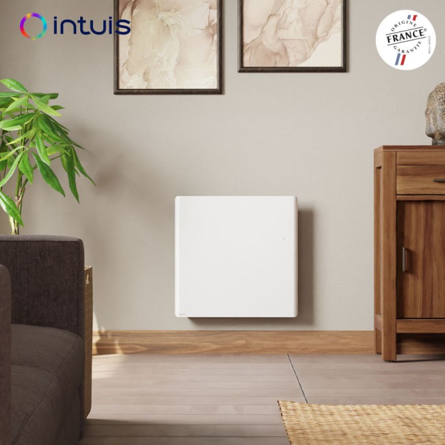 Radiateur électrique 2000W inertie fonte CHAMANE Nativ Horizontal connecté Blanc - INTUIS M198117