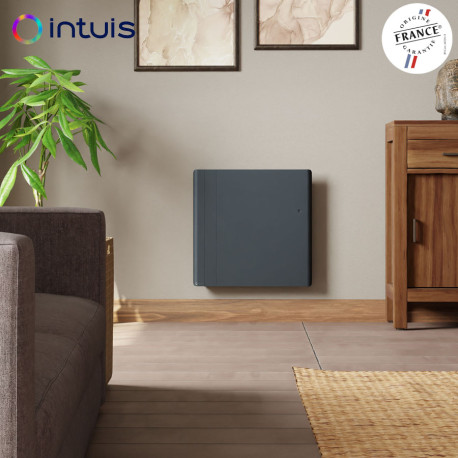 Radiateur électrique 1250W inertie fonte CHAMANE Nativ Horizontal connecté Gris Anthracite - INTUIS M198124