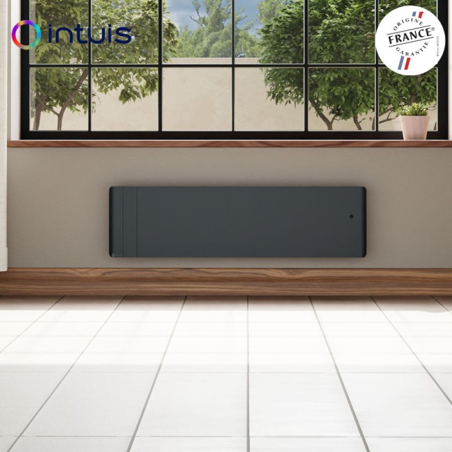 Radiateur électrique 1000W inertie fonte CHAMANE Nativ Plinthe connecté Gris anthracite - INTUIS M198423