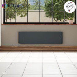 Radiateur électrique 750W inertie fonte CHAMANE Nativ Plinthe connecté Gris anthracite - INTUIS M198422