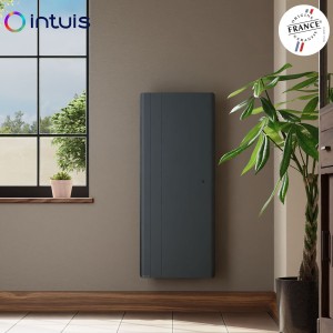 Radiateur électrique 2000W inertie fonte CHAMANE Nativ Vertical connecté Gris Anthracite - INTUIS M198227