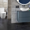 Réservoir WC Ona Blanc Brillant Alimentation Par Dessous - Roca A341681000