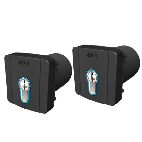 Kit 2 Sélecteurs à clé DIN à encastrer - CAME  8K06SL-005 