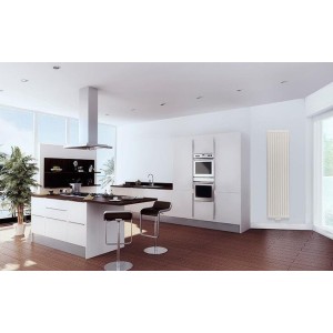 Radiateur vertical FINIMETAL 750W Bain d'huile YALI V 5118070P