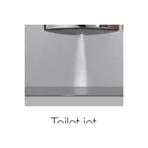 Ensemble WC avec flexible, support et douchette Chromé PALOMA - BOSSINI C690178030