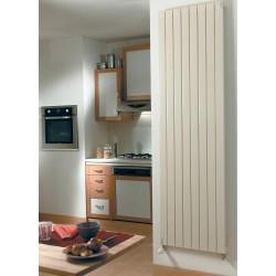 Radiateur chauffage central ACOVA - FASSANE Prem's Vertical simple 620W SHX-200-029