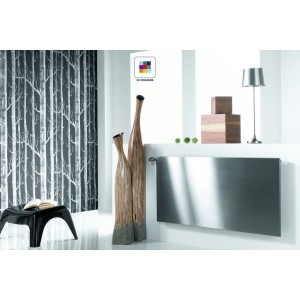 Radiateur Chauffage central ACOVA Altima horizontal simple 301W - VM-052-060