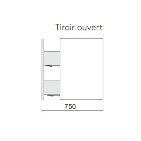Meuble salle de bain 2 tiroirs FUSSION LINE 700 blanc brillant - SALGAR 96688