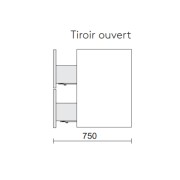 Meuble de salle de bain 2 tiroirs FUSSION LINE 700 BLACK VELVET - SALGAR 96694