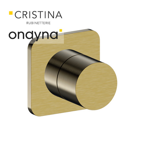 Inverseur blade encastre complet 2 sortiesor brosse - CRISTINA ONDYNA BA68396P 