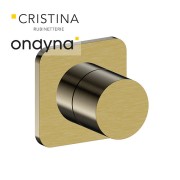 Inverseur blade encastre complet 2 sortiesor brosse - CRISTINA ONDYNA BA68396P 