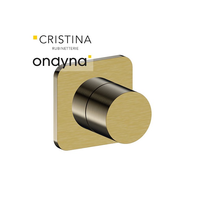 Inverseur blade encastre complet 2 sortiesor brosse - CRISTINA ONDYNA BA68396P 