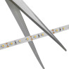 STRIP LED Blanc 3000K 3m IP20 - NORDLUX 2210309901 