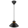Dial 25 Pendel E27 Sort - NORDLUX 2213333003 
