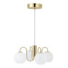 Franca 4-Pendel E14 Messing - NORDLUX 2312543035 
