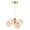 Franca 4-Pendel E14 Messing - NORDLUX 2312543035 