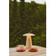 Luminaire nomade - ARA - Aluminium - Sablé - LED Module Incl. NORDLUX 2318245008