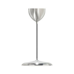 Suspension - ARTIST - Métal - Inox - LED Module Incl. DESIGN FOR THE PEOPLE 2420203034 
