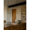 Suspension - ARTIST - Métal - Inox - LED Module Incl. DESIGN FOR THE PEOPLE 2420203034 