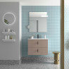Meuble Salle De Bain Biba 700 2 Tiroirs Macchiato 698 X 540 X 450 Mm - SALGAR 113834