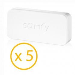 Pack de 5 détecteurs d'intrusion Intellitag SOMFY PROTECT - 2401488