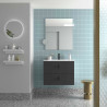 Meuble Salle De Bain Biba 700 2 Tiroirs Anthracite Mat 698 X 540 X 450 Mm - SALGAR 113837 