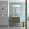 Meuble Salle De Bain Biba 700 2 Tiroirs Green Forest 698 X 540 X 450 Mm - SALGAR 113838 
