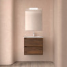 Meuble et vasque de salle de bain Noja 600 NOYER MAYA - SALGAR 106114