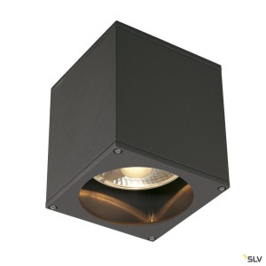 Plafonniers extérieurs BIG THEO plafonnier extérieur anthracite GU10/QPAR111 75W max IP44 - SLV 229555 