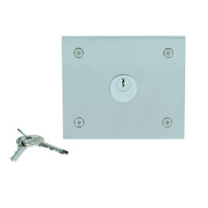 Boîtier percé pour contact PTT ou tête Vigik  Inox brossé - URMET 10050/I