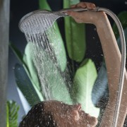 Partie externe mitigeur thermostatique mural bain douche chromé Apice - Bossini Z00521030