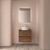 Meuble salle de bains et plan de toilette 60cm 2 tiroirs Noyer Maya NOJA - SALGAR 105461
