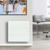 Radiateur Fonte LENA Smart EcoControl 750W Horizontal - APPLIMO 0012162SE