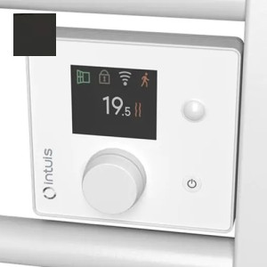 Sèche-serviettes électrique étroit 500W Ezybain nativ noir - INTUIS M245121