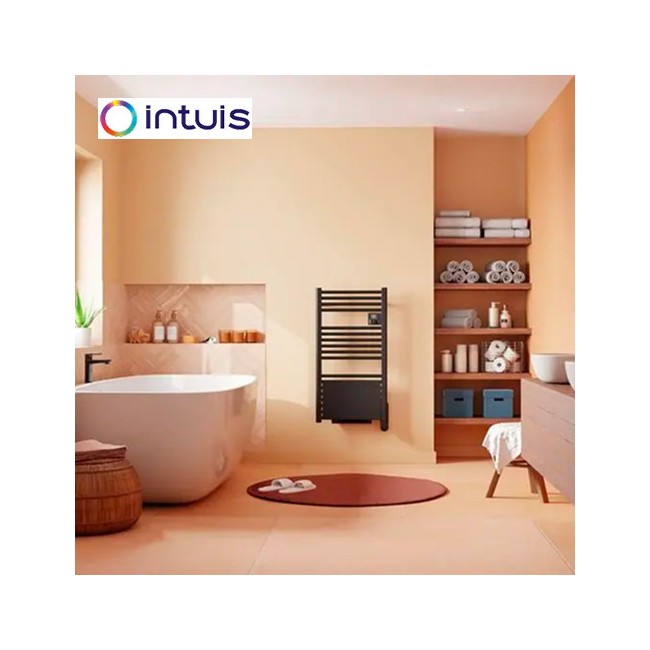 Sèche-serviettes électrique étroit 500W Ezybain nativ noir - INTUIS M245121