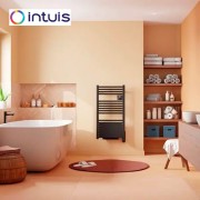 Sèche-serviettes électrique soufflant étroit 500W+1000W Ezybain nativ noir - INTUIS M245225